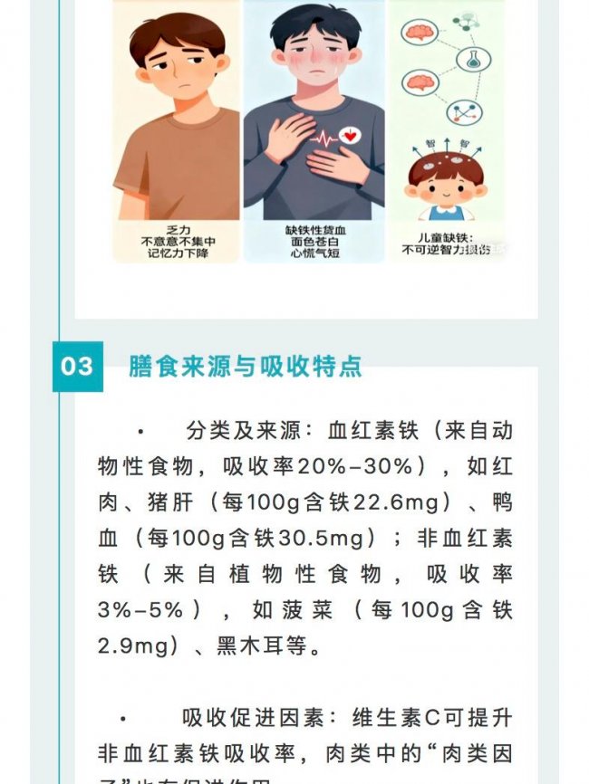 一文全解锌铁钙|人体必需矿物质实用科普