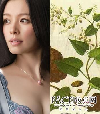 明星护肤：秋冬补水保湿面膜DIY