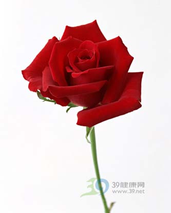 怎样自制美白爽肤水（12款）