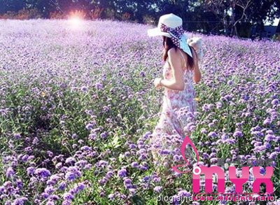 薰衣草精油去疤的原理及使用方法
