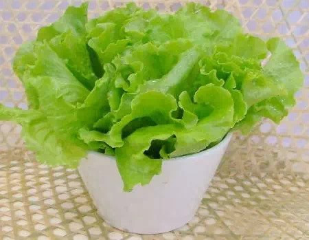 女性多吃这些碱性食物，祛斑、瘦身还健康