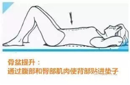 拉伸你的小蛮腰，腰部病痛不会找
