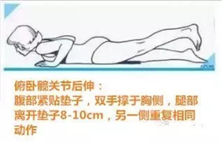 拉伸你的小蛮腰，腰部病痛不会找