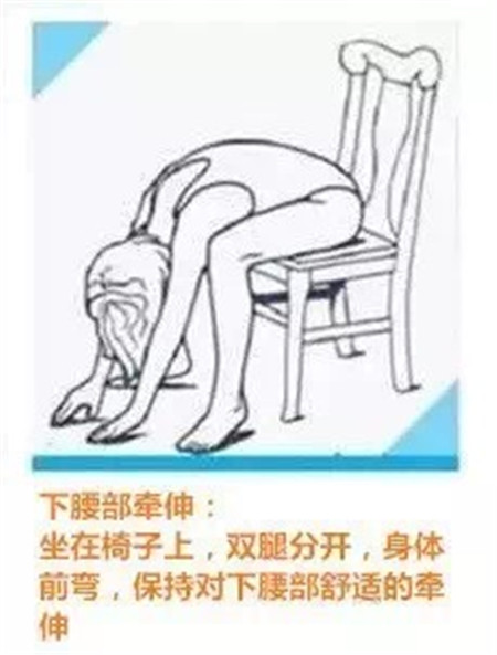 拉伸你的小蛮腰，腰部病痛不会找