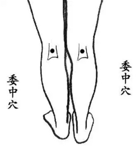 找准这几个穴位，便可让你体内湿毒通通OUT