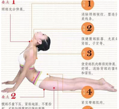 照着一天时间表做，常年保持苗条性感身材very easy！