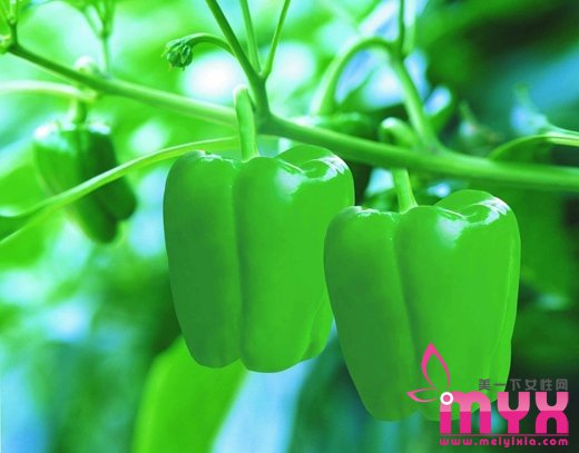 传说中的9大让人闻名色变的怪味蔬菜,居然都是营养上品
