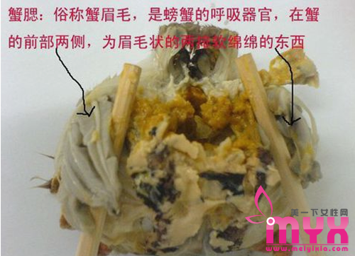 “舍不得”酿大祸 螃蟹4个部位千万别吃！