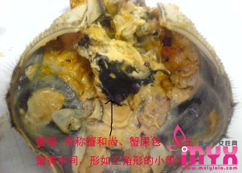 “舍不得”酿大祸 螃蟹4个部位千万别吃！