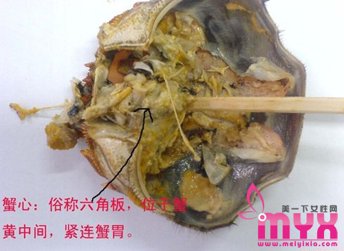 “舍不得”酿大祸 螃蟹4个部位千万别吃！