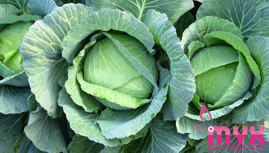 美容食物之蔬菜篇 六种让你从里美到外的蔬菜