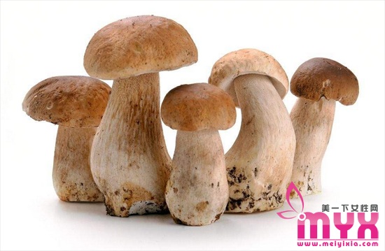 人免疫力低下吃什么好 食补的方式最健康便捷