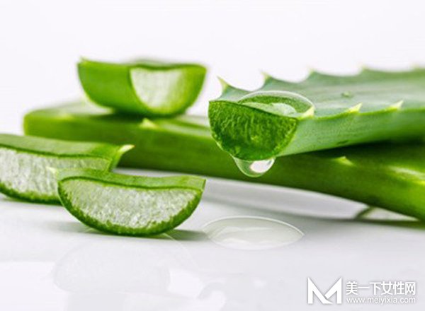 护肤品界“万能胶”养成记  芦荟胶的功效与作用你知多少