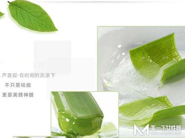 护肤品界“万能胶”养成记  芦荟胶的功效与作用你知多少