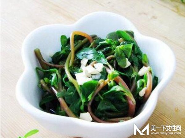 马齿苋的功效与作用及食用方法 你还把宝草当野草吗
