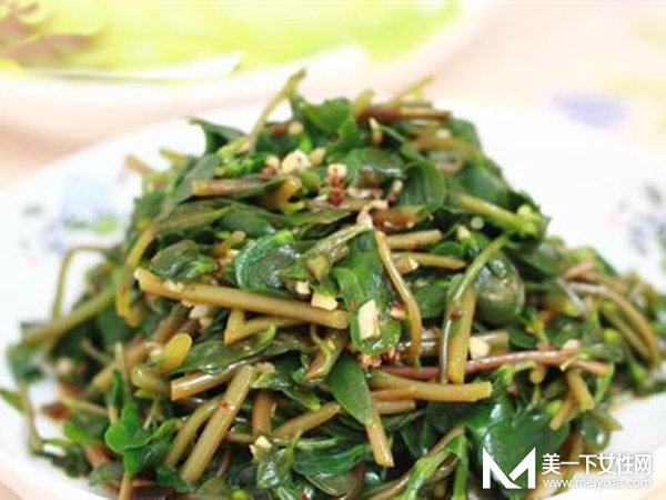 马齿苋的功效与作用及食用方法 你还把宝草当野草吗