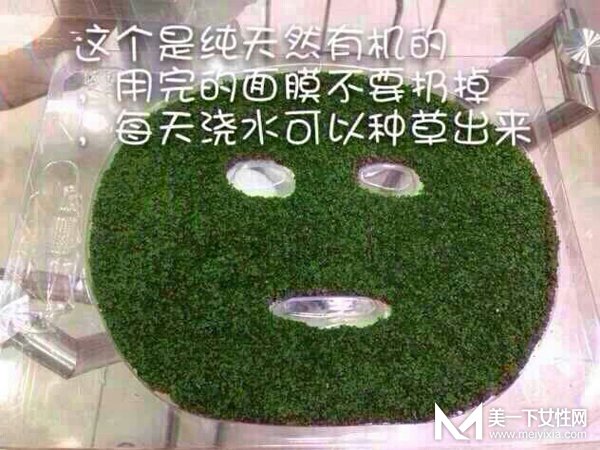 海藻面膜可以天天做吗 海藻面膜最好多久做一次