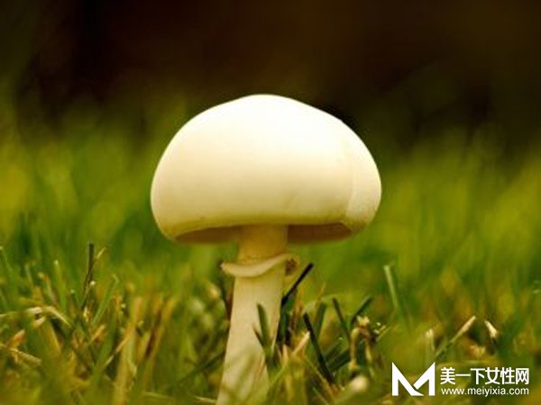 母女俩吃野蘑菇中毒 怎样分辨野蘑菇能不能吃