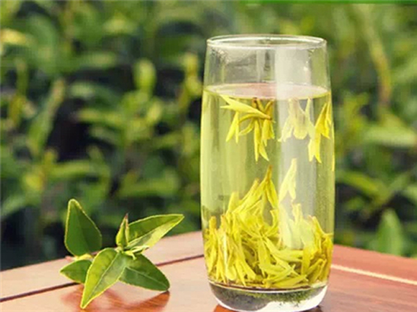 绿茶的功效与作用是什么 喝绿茶的注意事项是什么