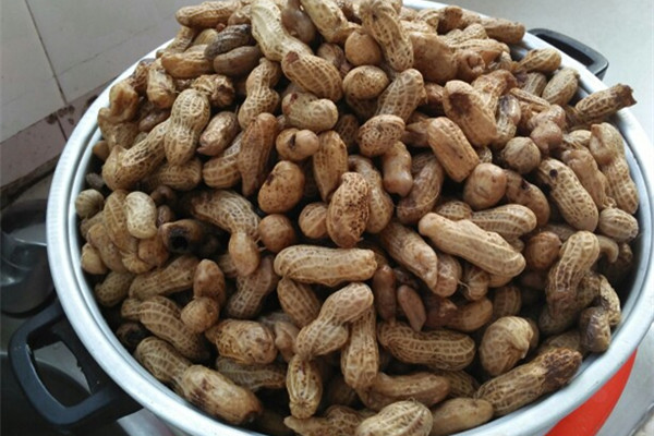 女性冬天怕冷是肾不好吗 女性吃什么才能御寒
