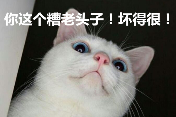 你个糟老头子坏得很什么梗 糟老头子坏得很表情包