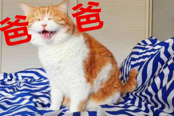 叫爸爸是什么梗什么意思 让人叫爸爸的套路