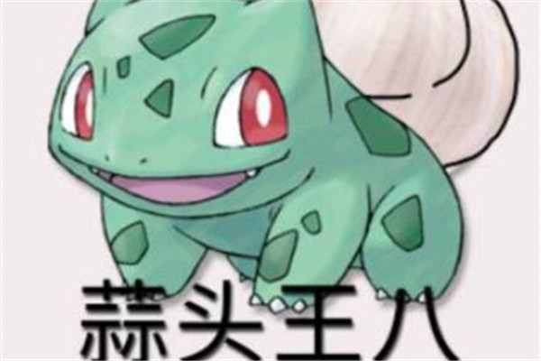 妙蛙种子新名字 我蒜头王八今天要打爆你狗头
