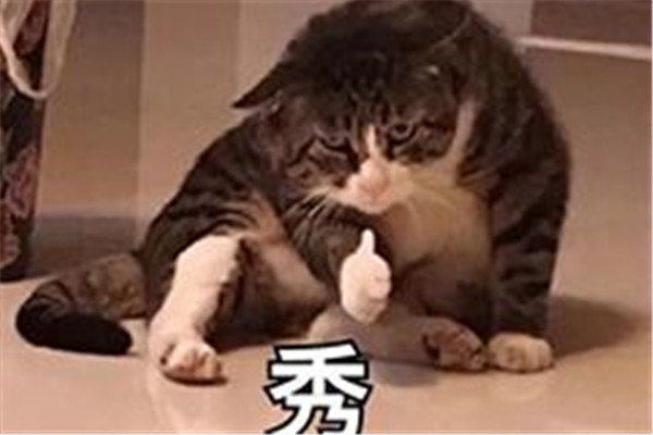 同九义汝何秀下一句 同九义汝何秀是什么意思