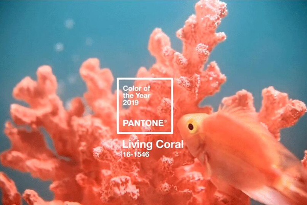 Pantone2019年度流行色珊瑚红 珊瑚红适合什么皮肤