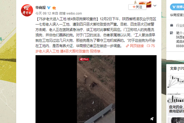 老太遭恶犬撕咬 老人头部被严重撕裂触目惊心