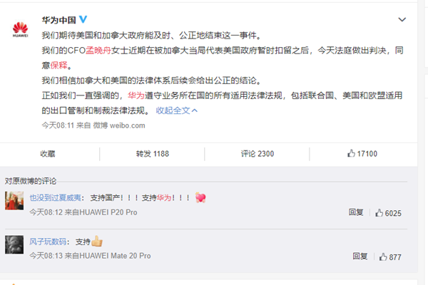 孟晚舟获保释是怎么回事 孟晚舟为什么被抓