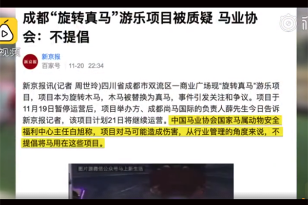 旋转真马又开业 驴拉磨和马转圈同样是动物差距也太大了