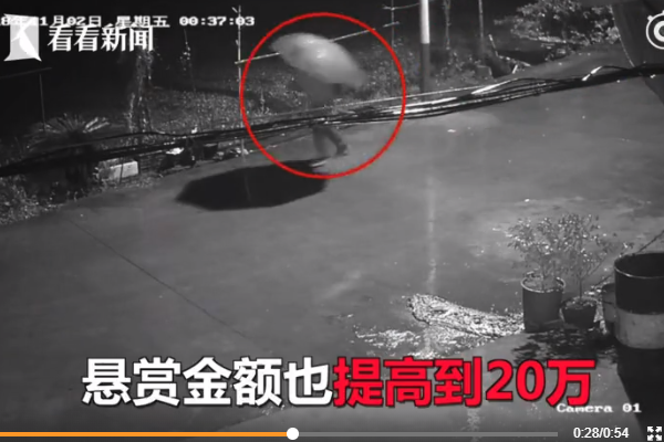 母女奔丧遭杀害 雨夜杀人案真相曝光