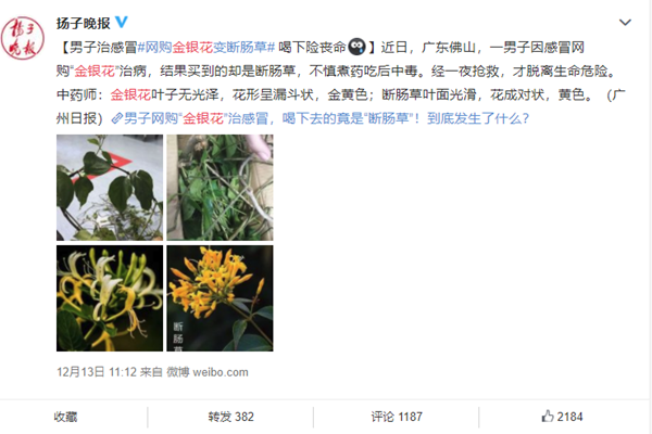 男子网购金银花 感冒倒是好了人却进了ICU