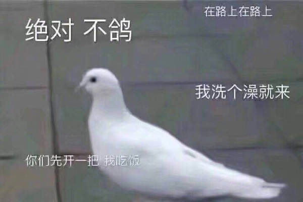 人类的本质是鸽子是什么梗 鸽子王是什么意思