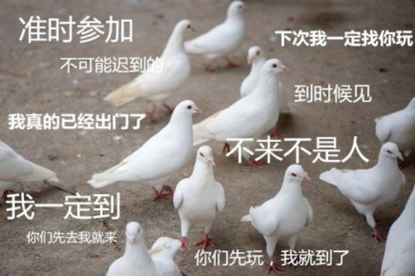 人类的四大本质是什么 鸽王柠檬精复读机真香什么梗