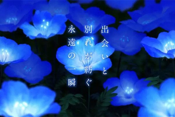 动画电影朝花夕誓在哪看 朝花夕誓链接地址介绍