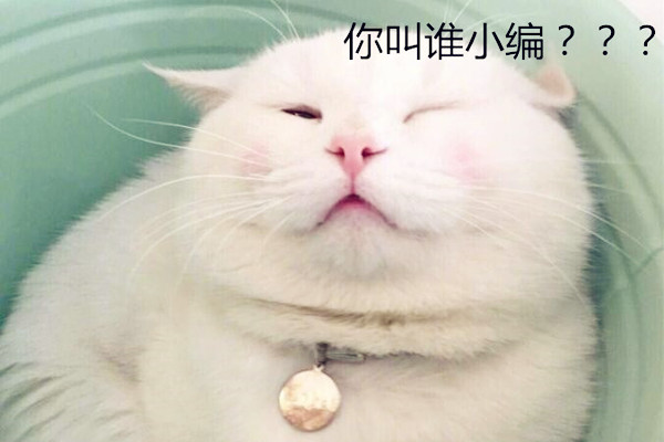 小编体是什么意思 网友对垃圾小编的行文总结