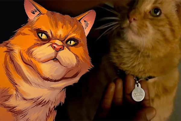 惊奇队长的猫叫什么 Goose超能力资料介绍