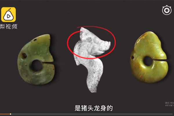 龙马精神最早叫猪龙精神 猪什么时候走下了神坛
