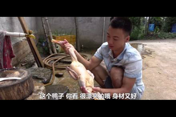 漂亮警告是什么梗什么意思 漂亮警告出自哪里