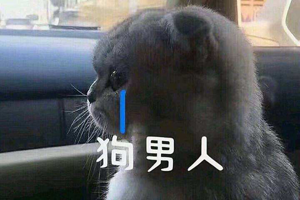 说一个人很狗是什么意思 人帅不狗是什么梗