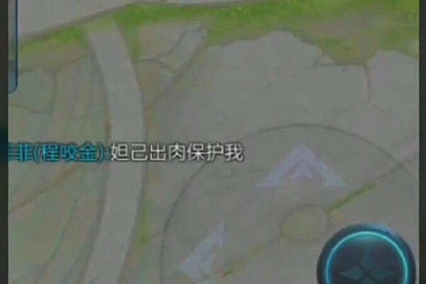 妲己出肉保护我是什么梗 出肉是什么意思