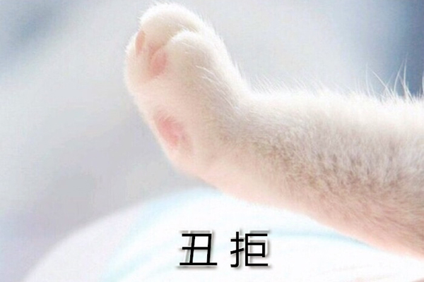 网络语丑拒是什么意思 当被人说丑时该怎么回复