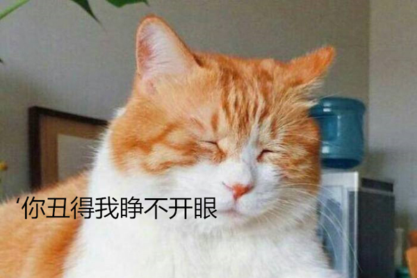 网络语丑拒是什么意思 当被人说丑时该怎么回复