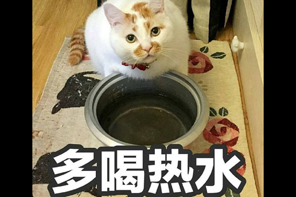 抖音多喝烫水什么梗 在吗多喝烫水什么意思