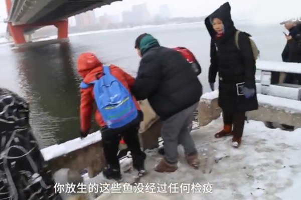 花万元买活鱼松花江放生 好心却办了坏事