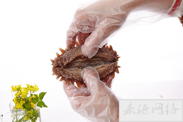干海参泡发的正确方法