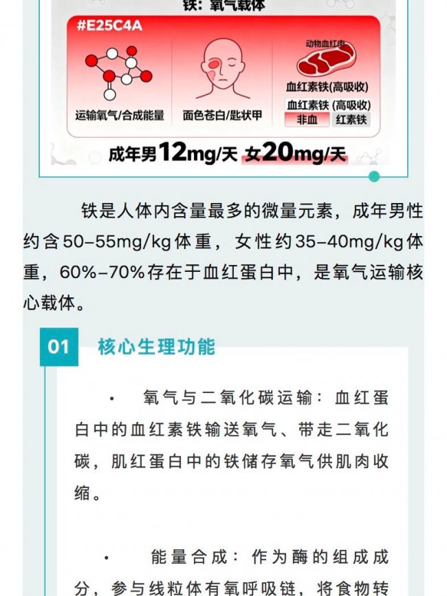 一文全解锌铁钙|人体必需矿物质实用科普