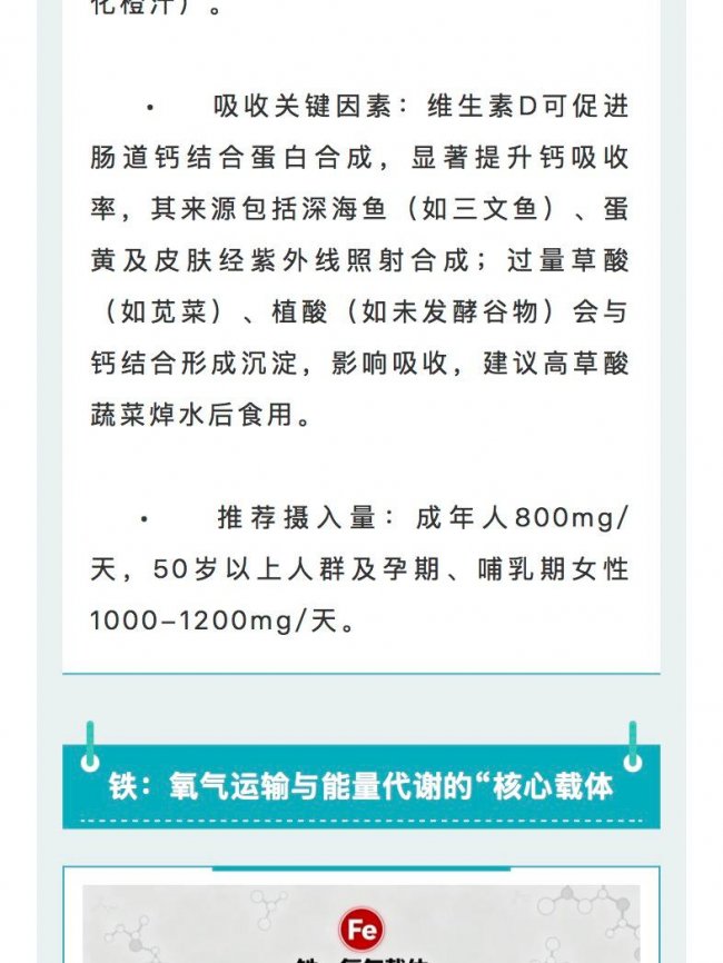 一文全解锌铁钙|人体必需矿物质实用科普